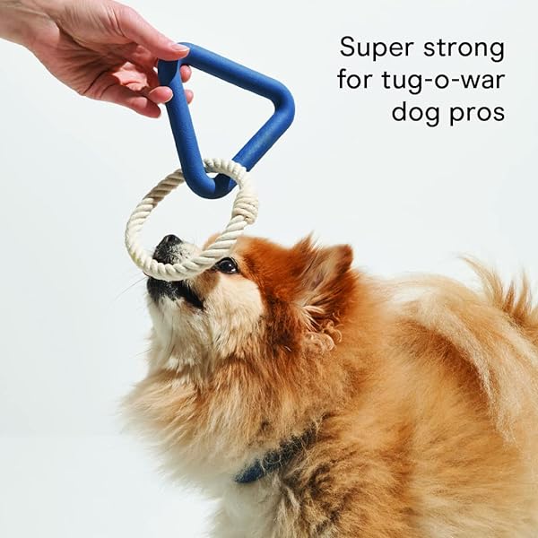 Dog Supplies