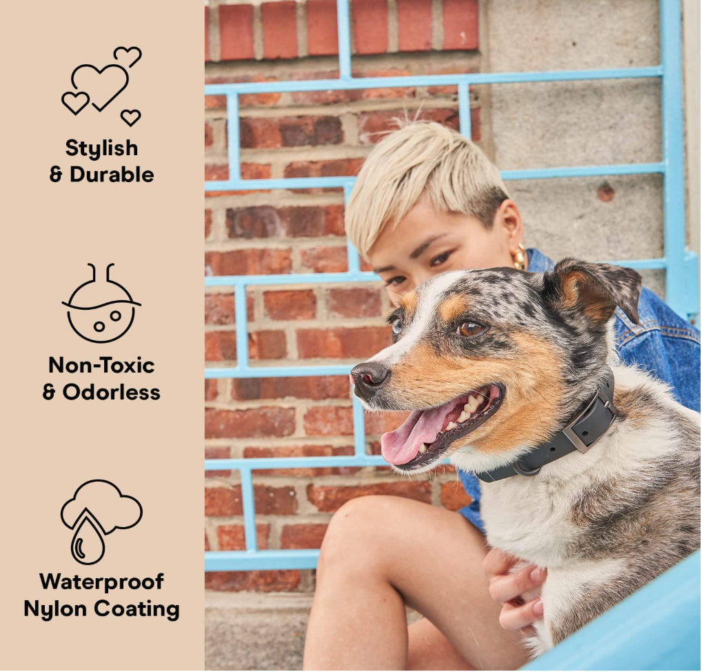 Wild One Dog Collar, The Original Easy-Clean Size XL Black