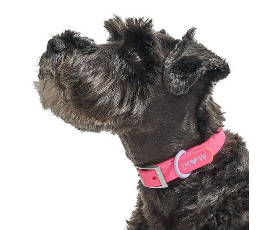 Wild One Dog Collar, The Original Easy-Clean Size Large Cosmopolitan