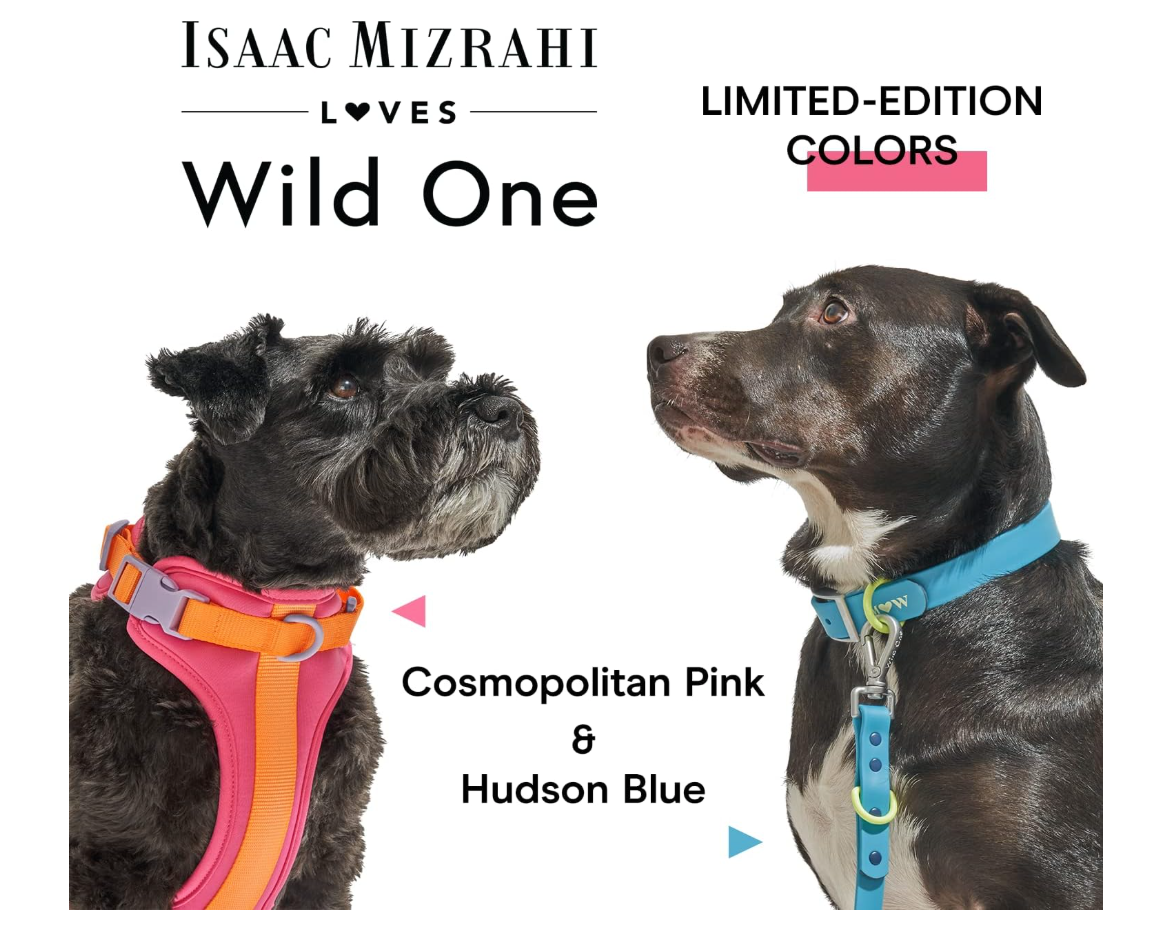 Wild One Dog Collar, The Original Easy-Clean Size Large Cosmopolitan