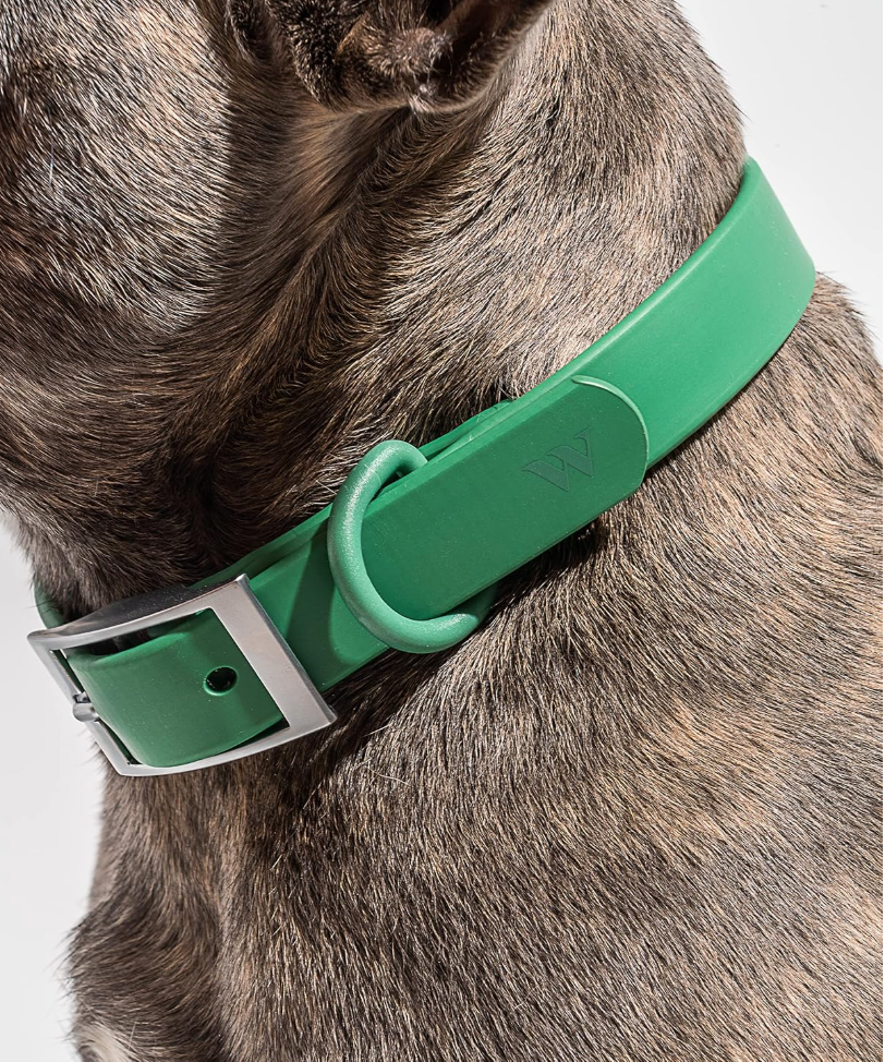 Wild One Dog Collar, The Original Easy-Clean Size Small Spruce