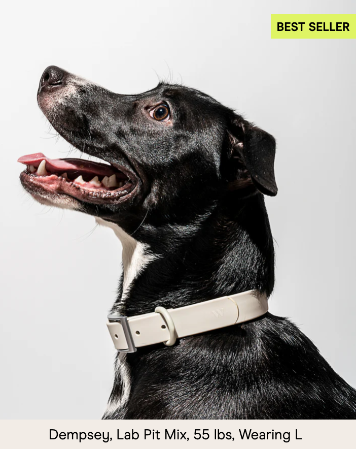Wild One Dog Collar, The Original Easy-Clean Size XS Grey