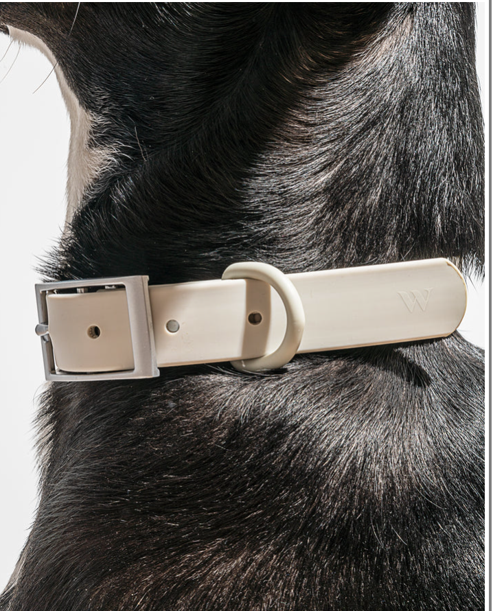 Wild One Dog Collar, The Original Easy-Clean Size XS Grey