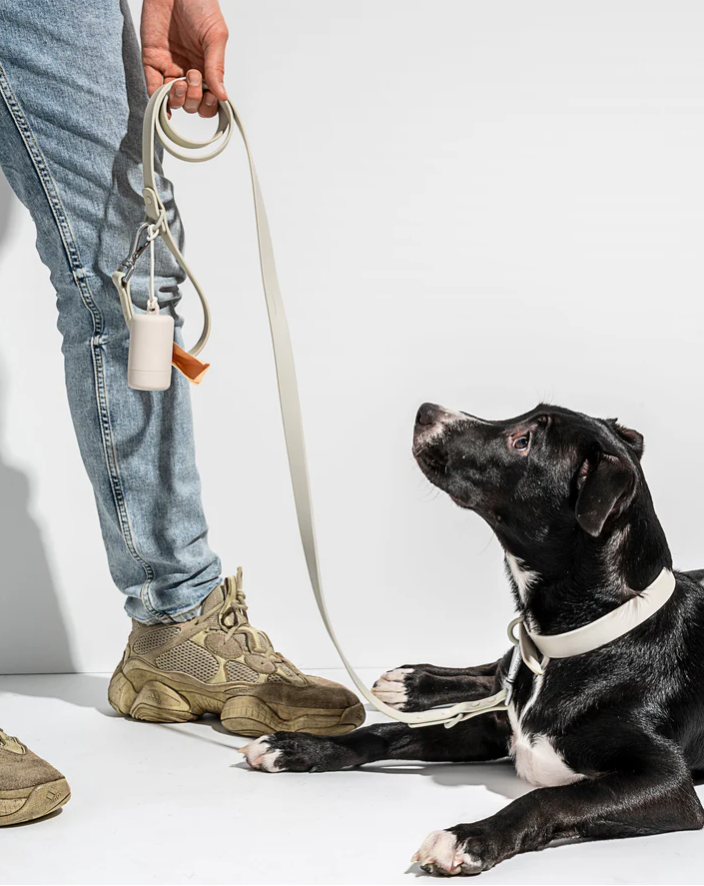 Wild One Dog Collar, The Original Easy-Clean Size XS Grey