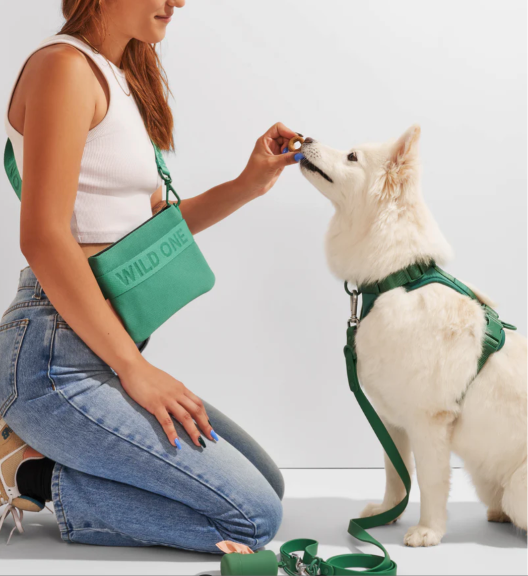 Wild One Treat Pouch Spruce (Green) Recycled Knit