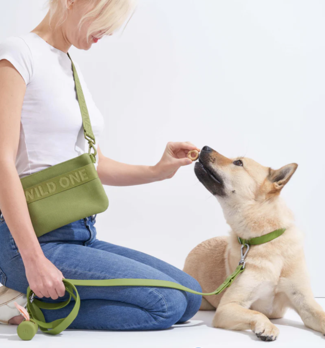Wild One Treat Pouch Moss(Khaki Green) Limited Edition