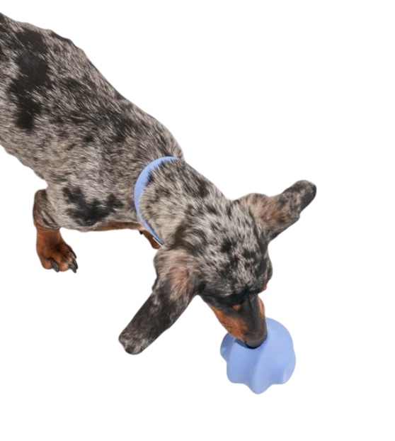 Wild One Twist Toss Dog Toy 100% Natural Rubber, Fun to Chew, Durable for Average Chewers, Fetch Toy, Treat Dispensing Moonstone - Image 7