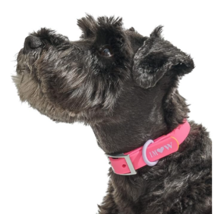 Wild One Dog Collar, The Original Easy-Clean Size Large Cosmopolitan