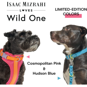 Wild One Dog Collar, The Original Easy-Clean Size Large Cosmopolitan - Image 3