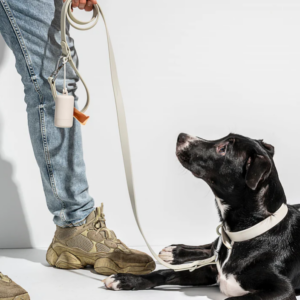 Wild One Dog Collar, The Original Easy-Clean Size XS Grey - Image 5