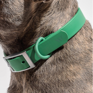 Alternative view of Wild One Dog Collar, The Original Easy-Clean Size XS Spruce