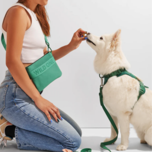 Alternative view of Wild One Treat Pouch Spruce (Green) Recycled Knit