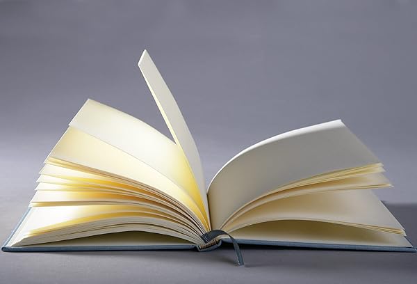 Semikolon Classic Letter/A4 Size Bound Linen Blank Book, Ceil Sky Blue (10209) - 画像 (4)