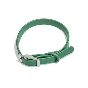Wild One Collar - Small - Spruce