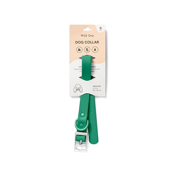 Wild One Collar - Small - Spruce - Image 8