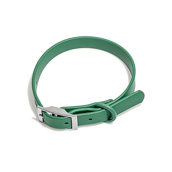 Wild One Collar - Small - Spruce