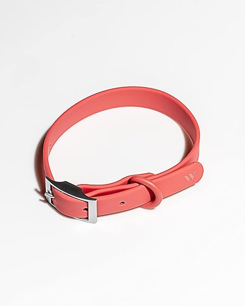 Wild One Collar - Small - Strawberry