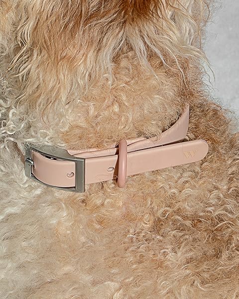 Wild One Collar - X Large Pink - Image 4