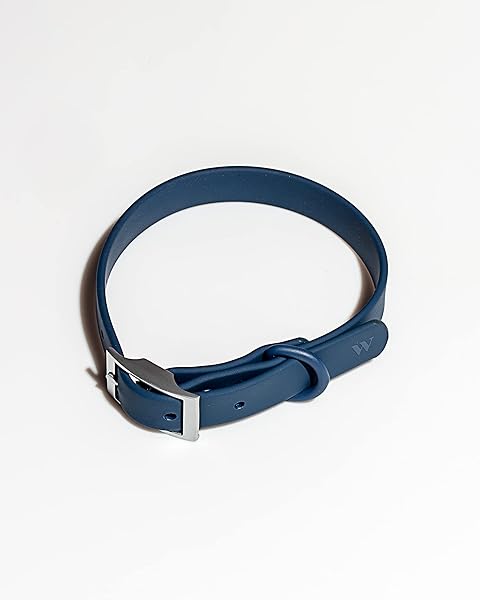 Wild One Collar - X Small - Blue