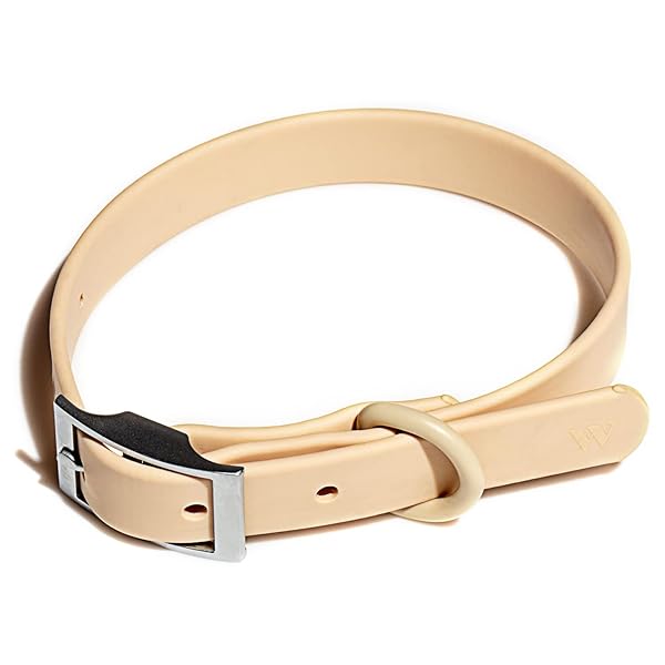 Wild One Dog Collar, The Original Easy-Clean, All Weather Flex-Poly Strap with Metal, Durable, Dirt and Odor Resistant, Size L, Tan