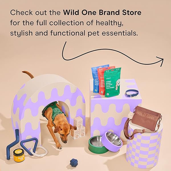 Wild One Dog Poop Bag Holder and Dispenser with Leash Attachment, Leak Proof, Easy Twist Top for Refills, Includes 1 Roll Poop Bags, Orchid - Image 8