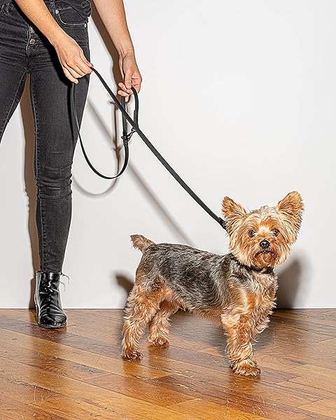 Wild One Leash - Small - Black - Image 3