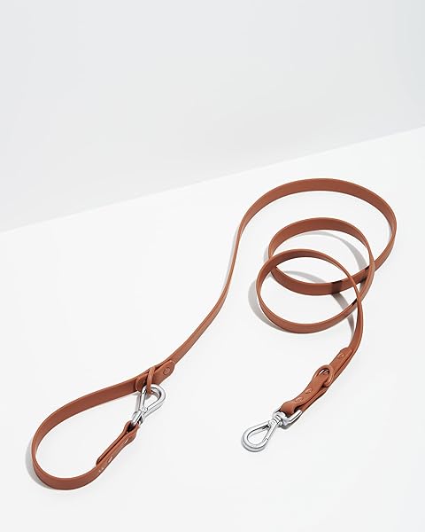 Wild One Leash - Small - Cocoa
