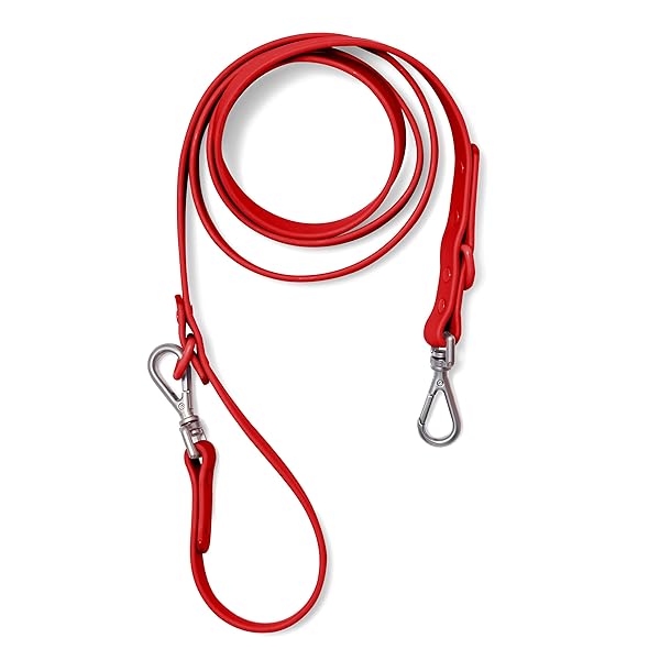 Wild One Leash - Small - Strawberry - Image 3