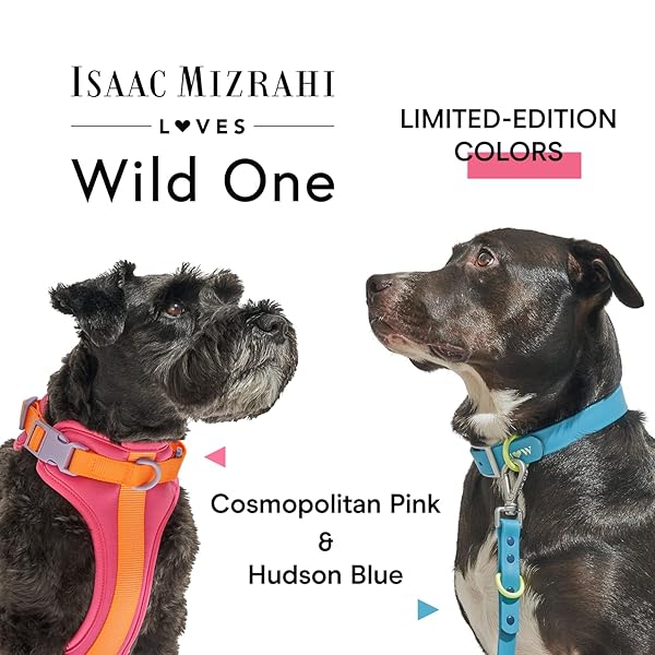 Wild One, Limited Edition, Designer Collection, Pink Dog Collar, Easy-Clean, All Weather Flex-Poly Strap with Metal, Durable, Dirt and Odor Resistant, XL - Image 7