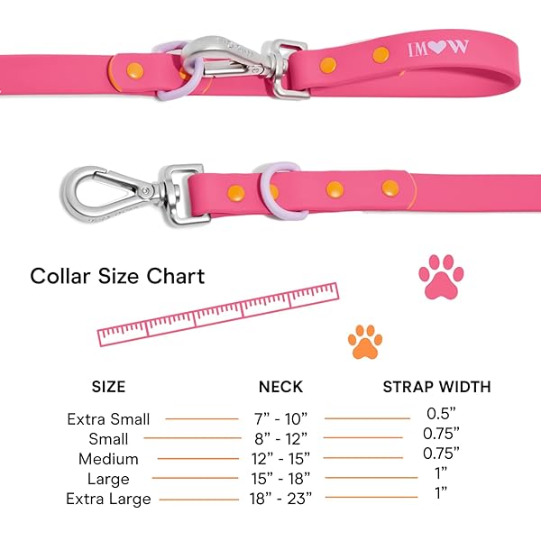 Wild One, Limited Edition, Designer Collection, Pink Dog Collar, Easy-Clean, All Weather Flex-Poly Strap with Metal, Durable, Dirt and Odor Resistant, Medium - Image 6