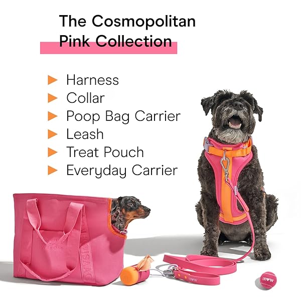 Wild One, Limited Edition, Designer Collection, Pink Dog Collar, Easy-Clean, All Weather Flex-Poly Strap with Metal, Durable, Dirt and Odor Resistant, Medium - Image 7