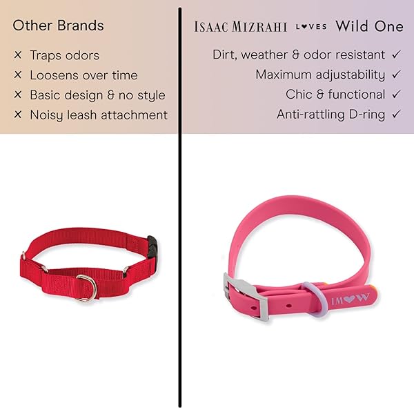 Wild One, Limited Edition, Designer Collection, Pink Dog Collar, Easy-Clean, All Weather Flex-Poly Strap with Metal, Durable, Dirt and Odor Resistant, Medium - Image 8