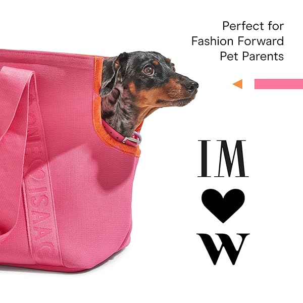 Wild One, Limited Edition, Designer Collection, Pink Dog Collar, Easy-Clean, All Weather Flex-Poly Strap with Metal, Durable, Dirt and Odor Resistant, Medium - Image 9