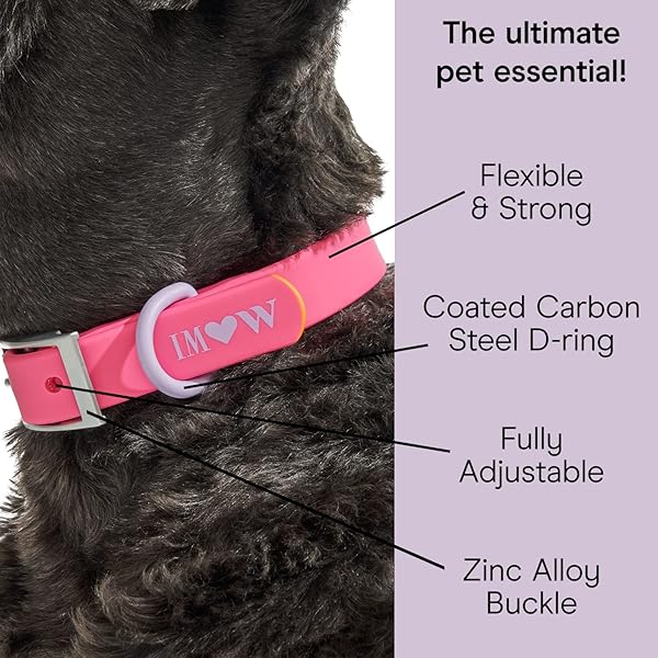 Wild One, Limited Edition, Designer Collection, Pink Dog Collar, Easy-Clean, All Weather Flex-Poly Strap with Metal, Durable, Dirt and Odor Resistant, Large - Image 4